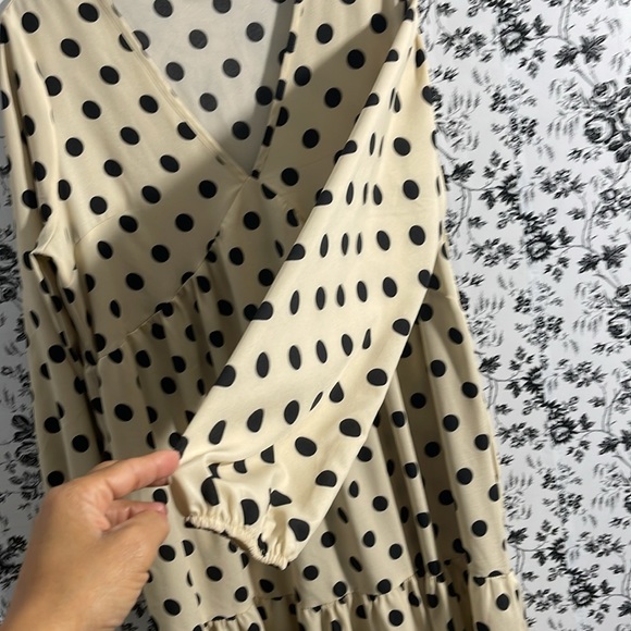 Gyrans Dance Flowers Polka Dot Dress - Picture 5 of 7